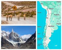 Collage diverser Fotos